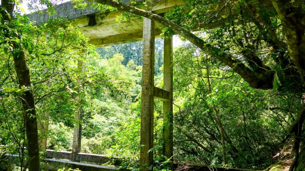 畝畝山。又上說2768136