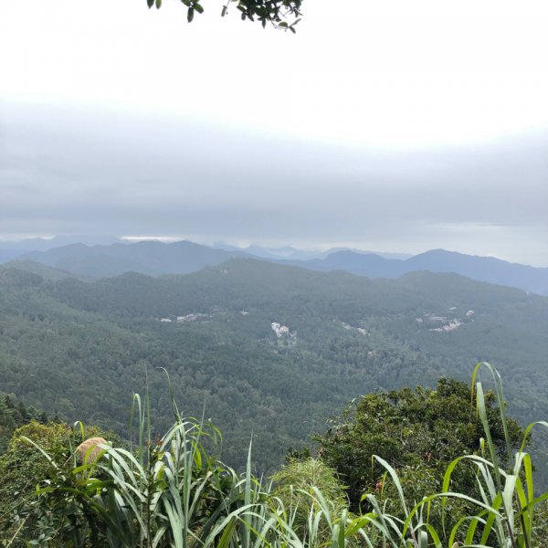 大塔山、對高岳、小笠原 O型環線1195236