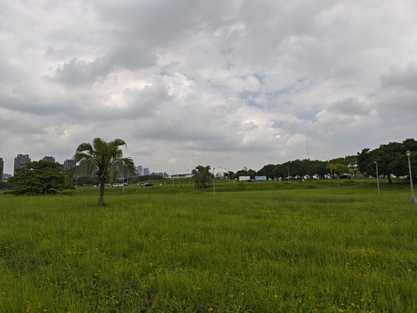 [跟著2025雙北世壯運探索雙北市-1/21] 2025_0607 飛盤競技道（華江雁鴨河濱步道）2807801