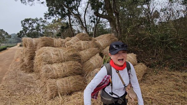 20260127三通嶺山.三義山(大桁茂山).慈濟山.大坪山大O走2990759