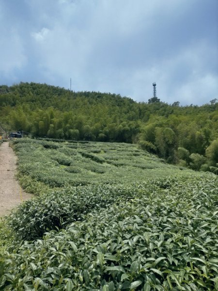 梅山半天雲之道暨古道汗路3060797