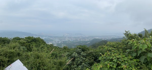 20240616觀音觀鷹尋寶任務福隆山登山步道、林梢步道、牛港稜山登山步道2535542