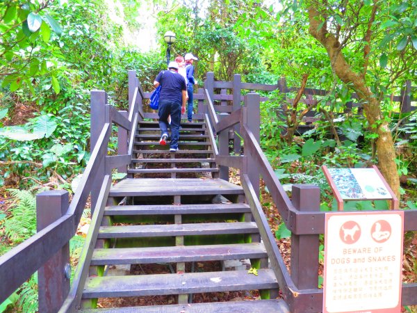 登小觀音山生態登山步道而小臺北863512