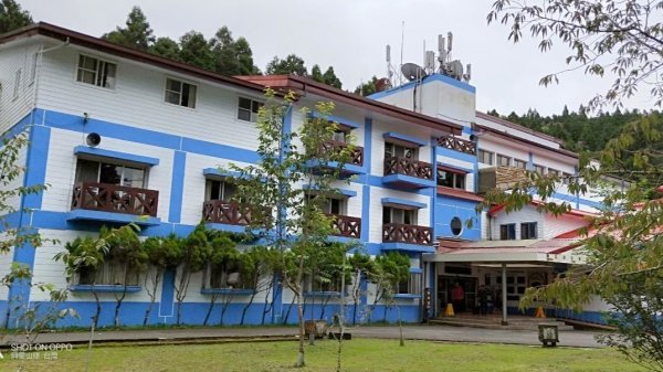 【二萬平車站火車時】2019阿里山私房景691779