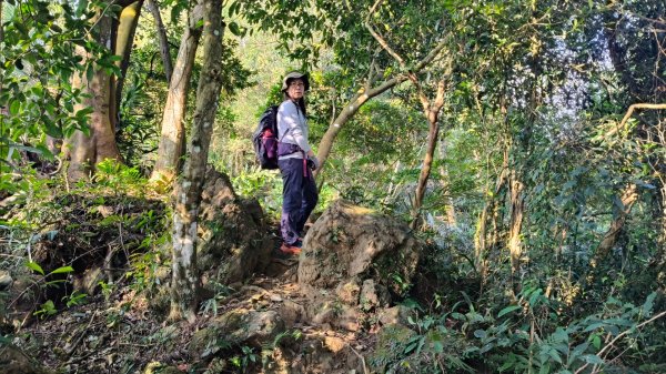 雙石大O繞縱走1150222 年初六3004533