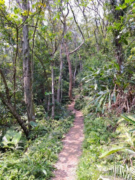 石門山(觀音像上清水坑山下)1323264