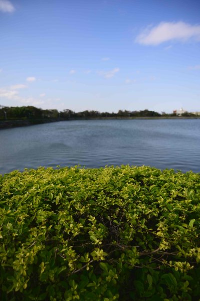 20251205竹竿埤-機堡公園-埔心大埤-懷德居2954762