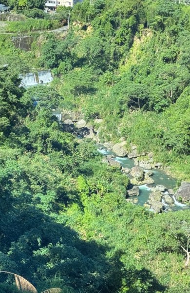 羊彎上武岫大崙山茶園尋山頭2825506