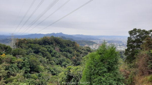 《台中》樹中有樹｜大坑步道6上7下O繞202502082708622