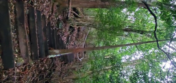 橫沙迪O型縱走_大雪山社區登山口2826542