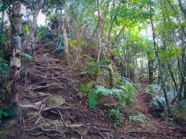 20211016_高島縱走1490491