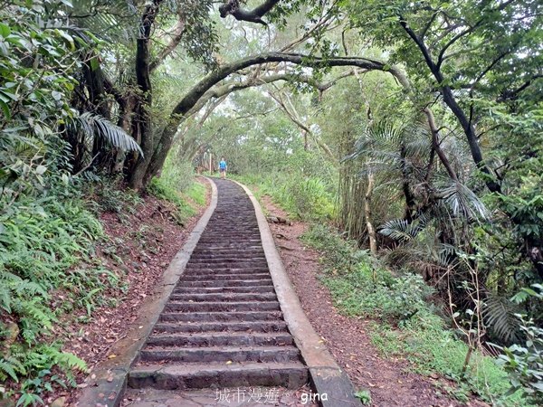 【新竹芎林】台灣百大必訪步道。 飛鳳山、觀日坪古道O繞2564339