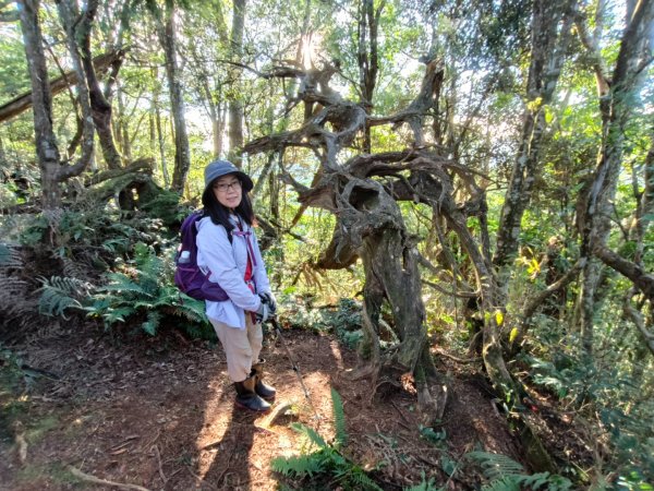 1121125 鳥嘴山縱走貴妃山2363991