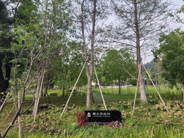 九九峰氦氣球樂園3055614