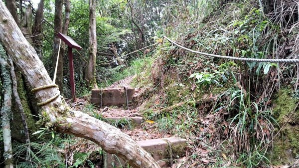 20230622 苗栗-雪見 東洗水山及北坑山 走走2193080