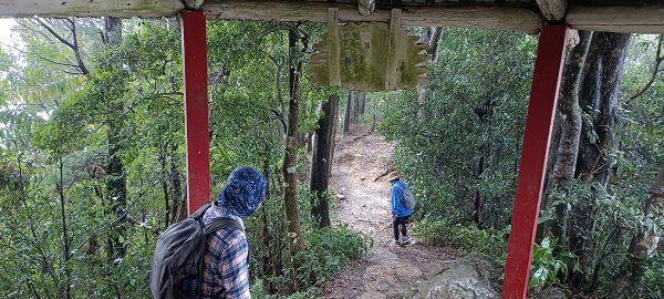 20240121_仙山登山步道2407640