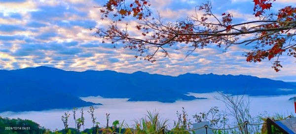 二訪馬拉邦山，解鎖 #琉璃光雲海 #日出雲海  #血月 #斜射光 #楓葉紅了！2668659