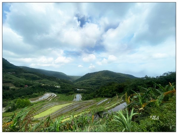 嵩山梯田 ( 新北、石門 )3049983