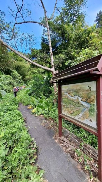 大艽芎古道縱走 新/溪州山(小百岳#23) 出溪州公園2893937