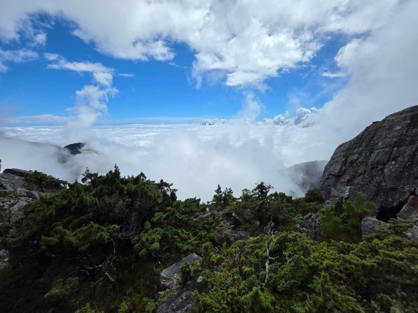 庫哈諾辛山 關山嶺山 溪頭山3135615
