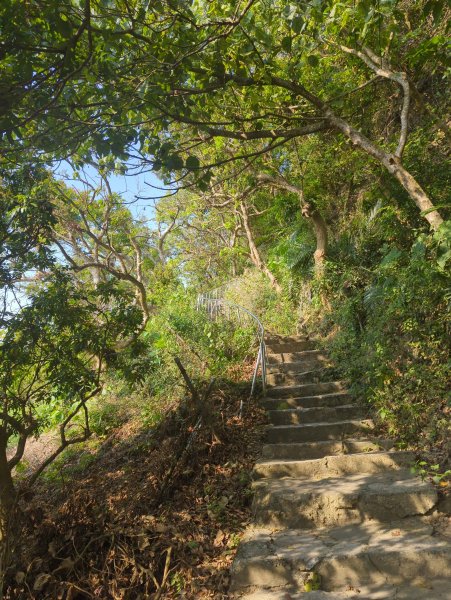 2025.03.24－大崗山2746342