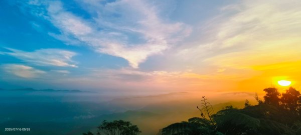 雲山水花鳥蝶-天龍國阿伯的日常 7/162838404