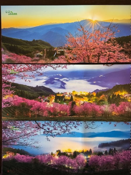 鵝公髻山-迷霧森林2768533