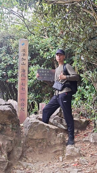 波津加3098445