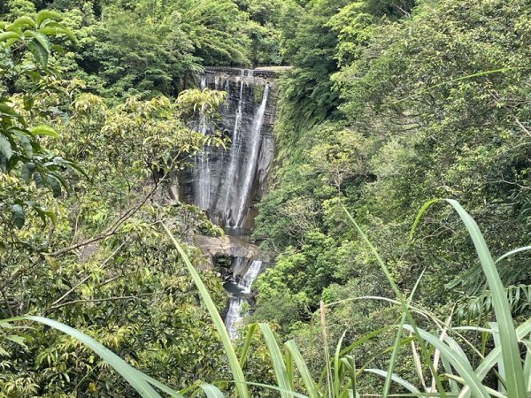 三貂嶺野人谷九瀑連走O型2838347