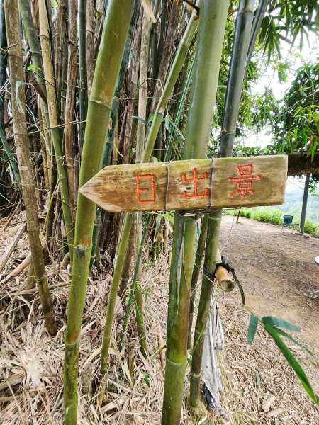 112/2/23龍鳳連稜2148211