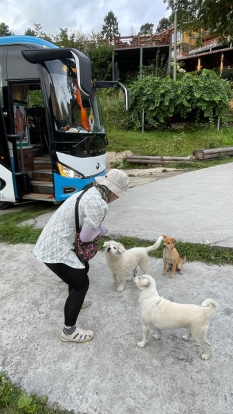 西藏♥️可愛動物🐎人物寫真/拉薩旅拍/美食2902984