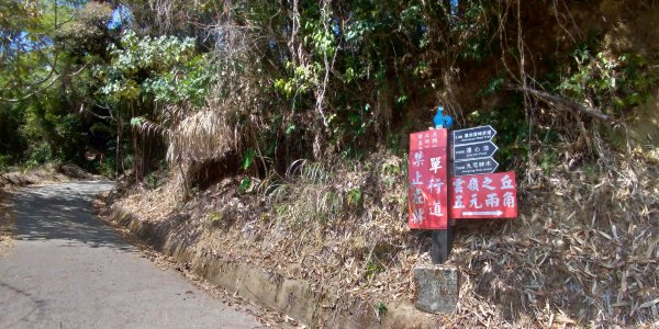 109.2.26雲嶺之丘+石壁賞櫻855918