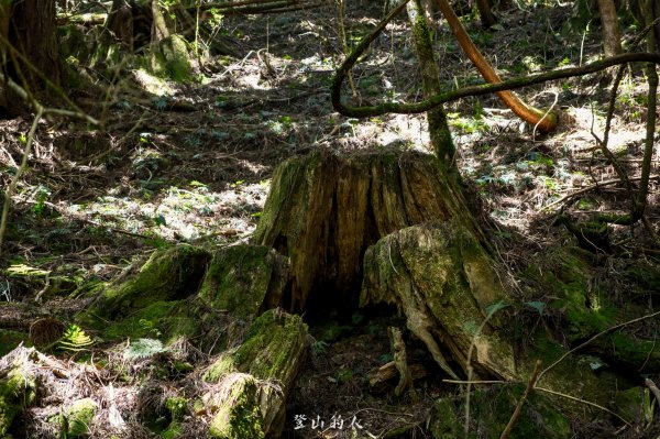 霞山鐵道野營2843118