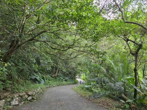 聖母登山步道（抹茶山）、三角崙山（小百岳）2774090