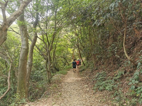 田中森林登山步道-依山稜線而建且景觀良好1048121