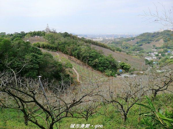 適合賞景健身親子型步道~鳳凰山觀音山步道1244199