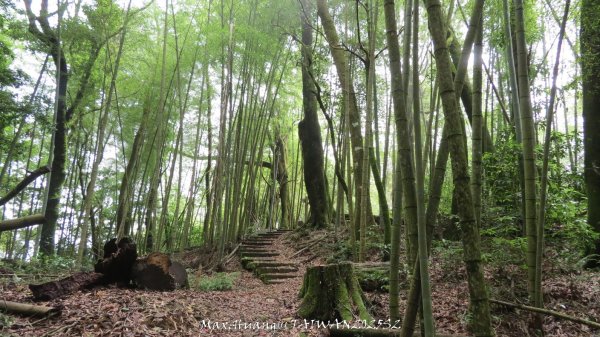 《雲林》望好望角｜石壁山嘉南雲峰步道(中側登山口）202506072805493