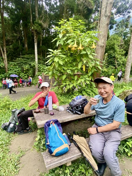 溪頭散步悠遊    2024.5.202517717