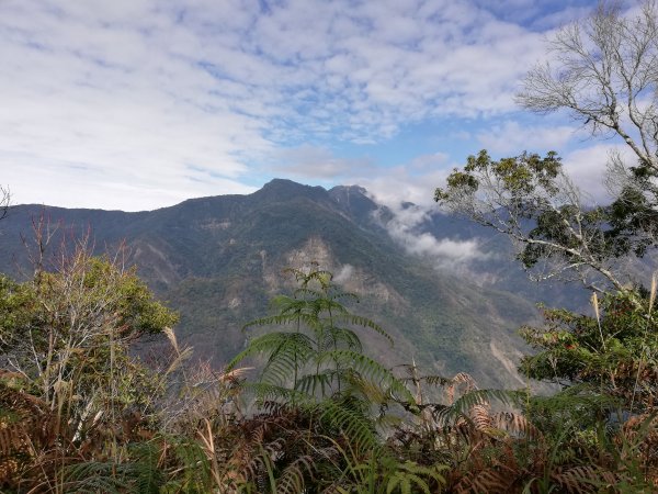 ~ 鳥嘴山登山步道(上島山) ~807807