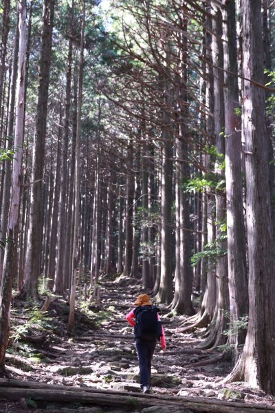 熊野参詣道中辺路：雲取越に祈りは続く2925794