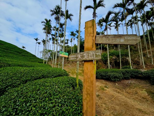 挑筍古道(大尖山、後棟仔山步道)--(雲林)臺灣百大必訪步道2955751