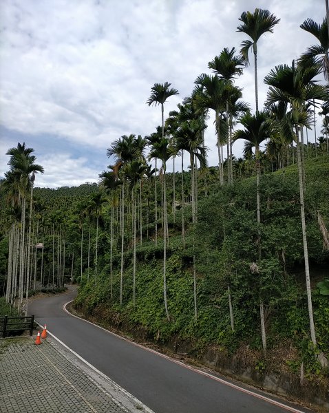 太興飛瀑~雲嘉6連峰~梨園寮車站1737167