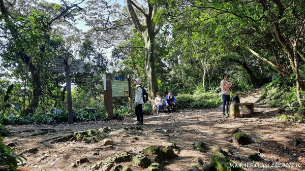 《桃園》一等郊山｜石門山登山步道O繞202401062397578