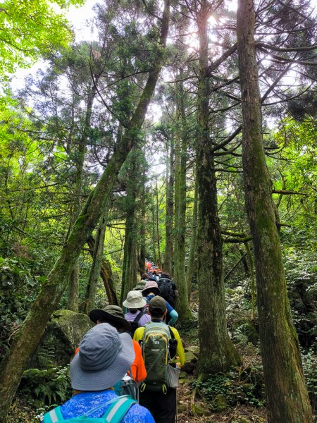 2025-05-03 磺嘴山、翠翠谷2781678