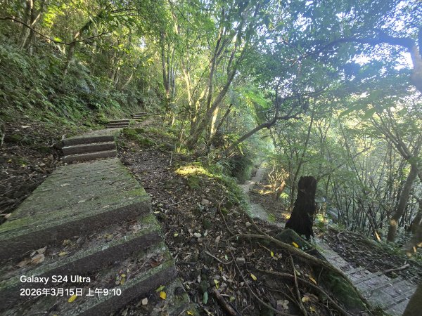 2026-03-15微笑山線：【二格山系】皇帝殿稜線段3016091