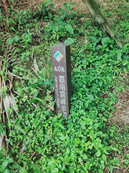 嘉南雲峰、石壁山登山步道1304051