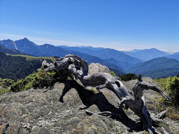 【南湖大山】氣勢磅礡的帝王之山2403043