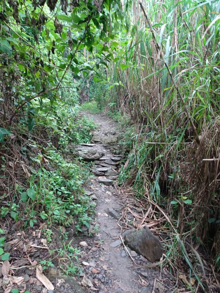 台灣小百岳-屏東笠頂山、棚集山和高雄之旅1169840