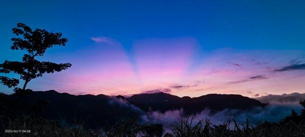 跟著雲海達人山友追雲趣 #草莓月亮 #月圓雲海 #霞光 #日出雲海 #茶園 6/112808765