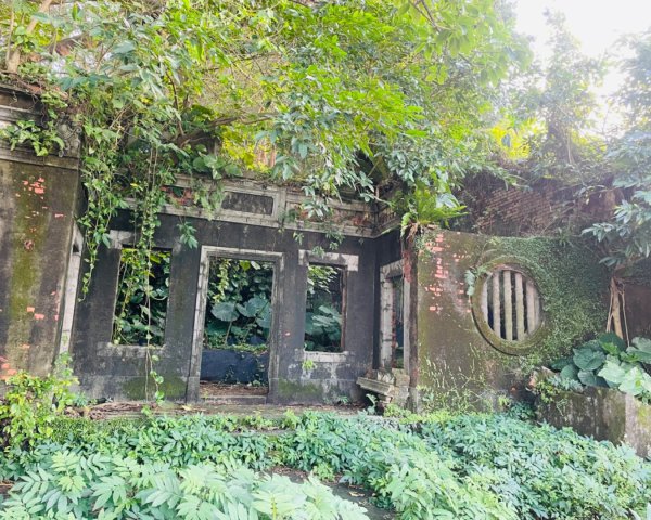 基隆尋找7隻傘人家族2712727